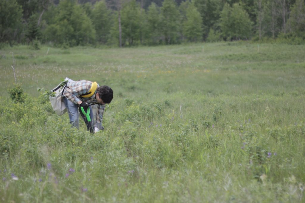 Co-Founder Brad Rabiey still plants some of the trees himself to connect with the land, to appreciate the efforts of his planting crew and to remember the first project he completed with his wife in 2007.