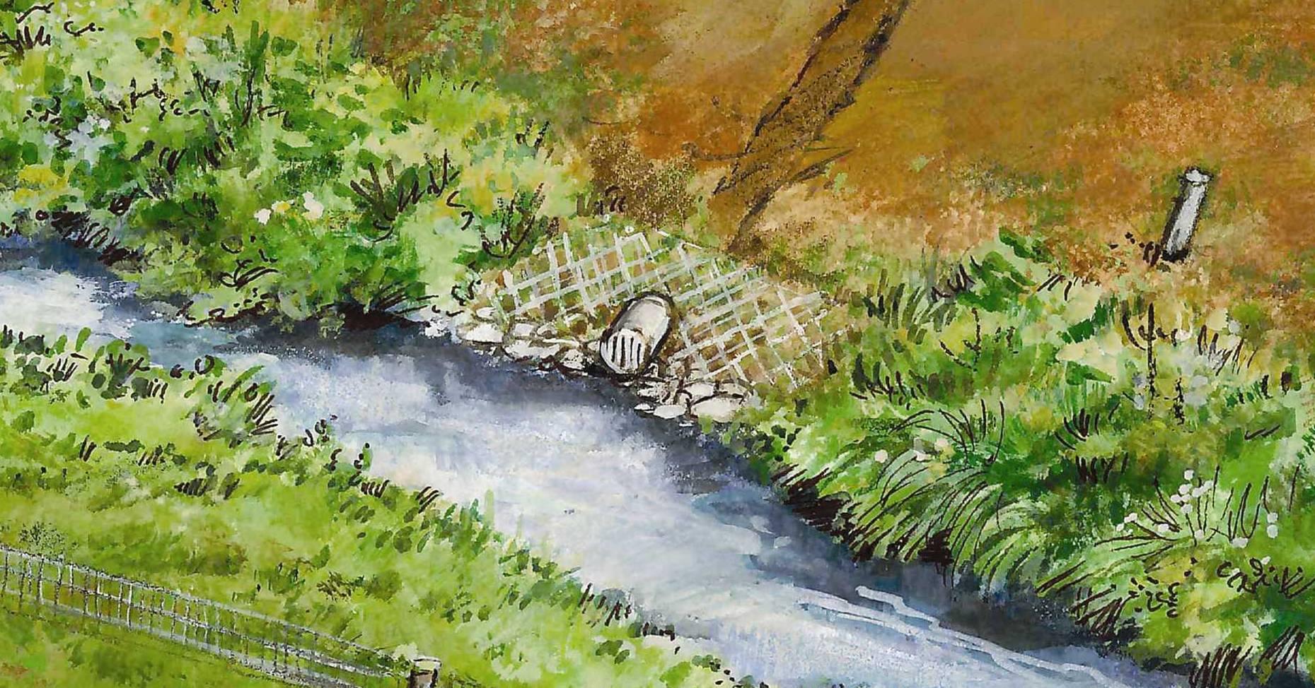 Drainage