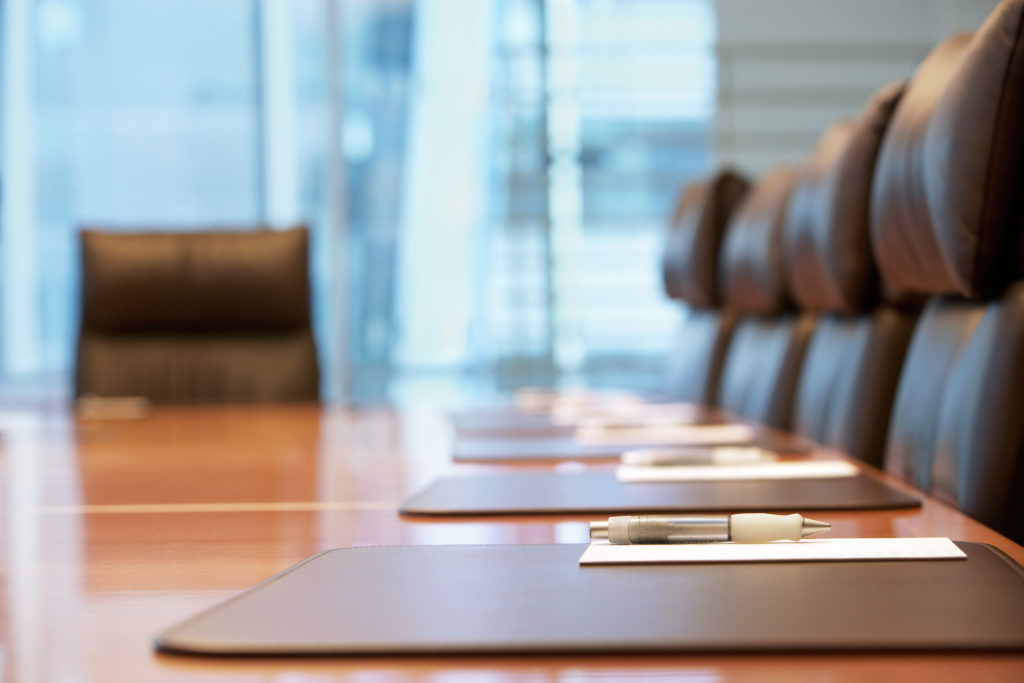 board director fi