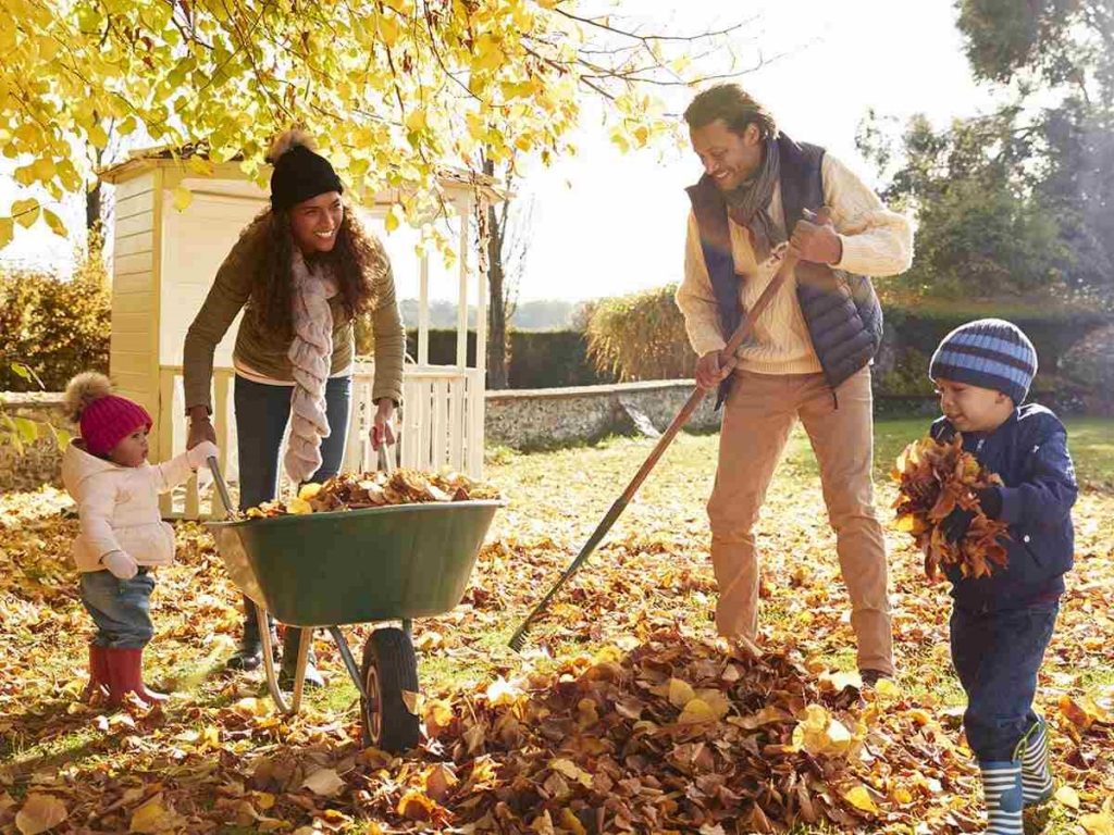 fall maintenance