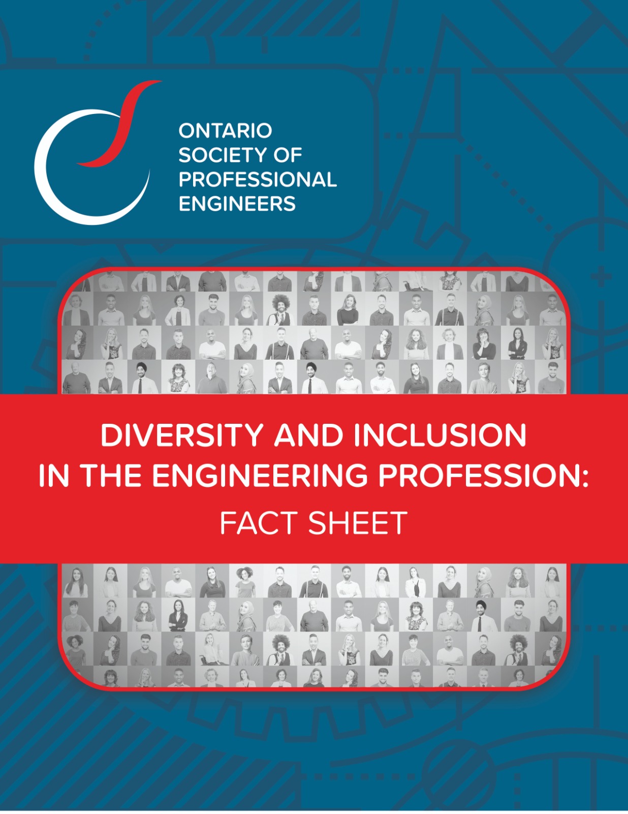 Diversity and Inclusion in the Engineering Profession: Fact Sheet