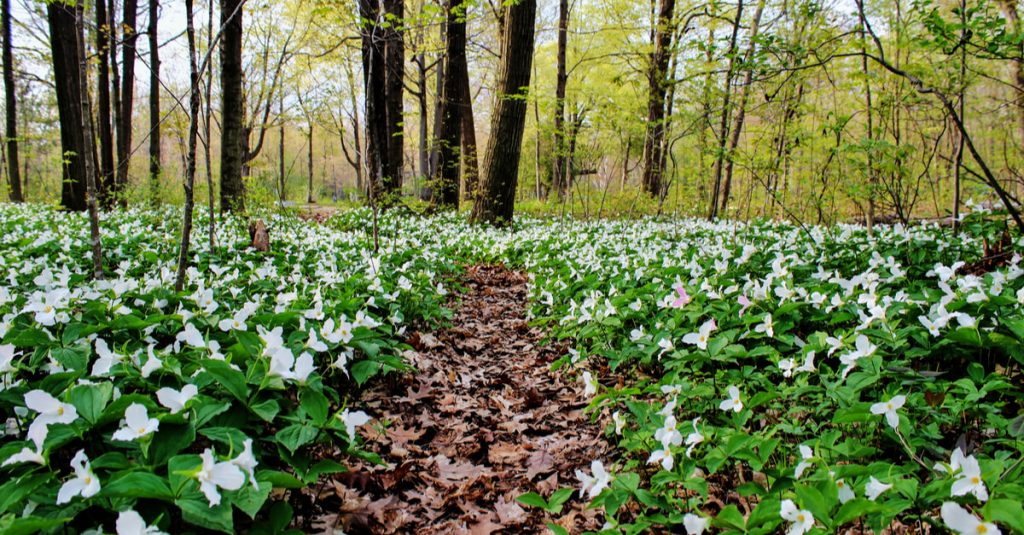 ontario environment bill 229