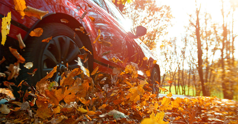 Close-up of a car wheel driving in forest road, swirling colorful leaves.