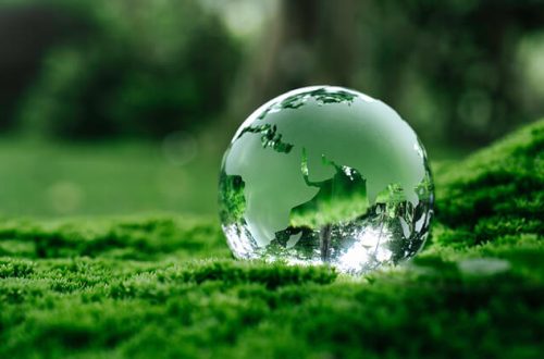 Blog-AM3-2025-banner