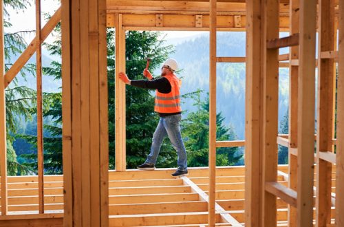 Carpenter-constructing-two-story-wooden-frame-house-near-forest