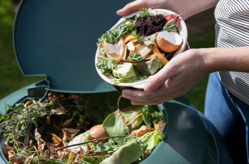 Close Up Of Woman Emptying Food Waste Into Garden Composter At Home