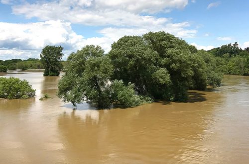 Flooding-of-the-Grand-River-Brantford-Ontario-banner