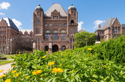 queens-park-spring-sunny-flowers
